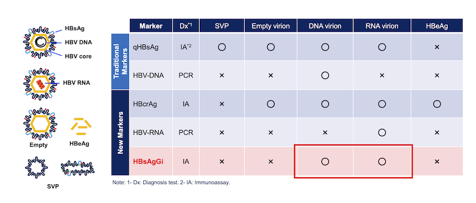 HBsAgGi and other markers to detect infectious HBV